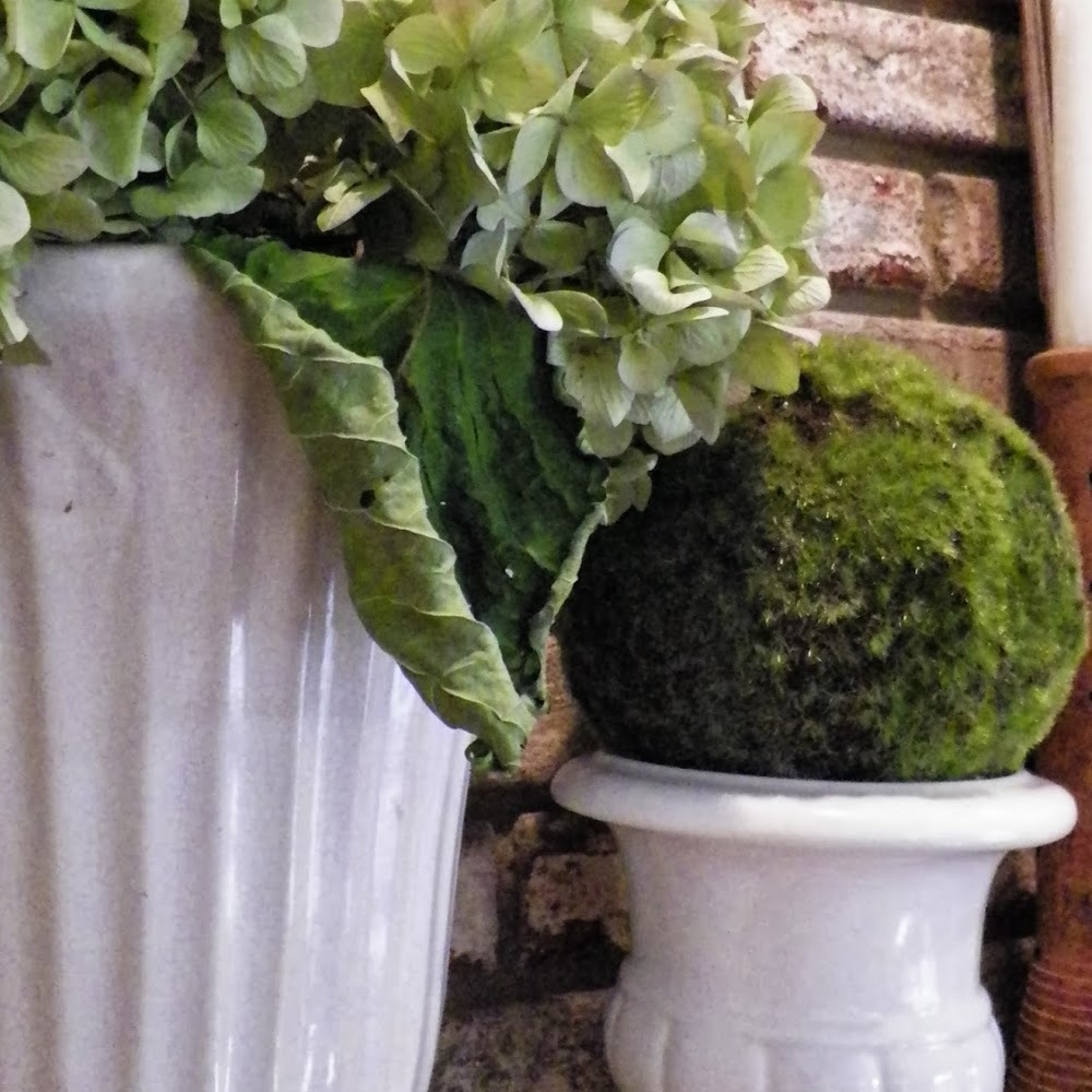 Meet your Posher, Jeanie